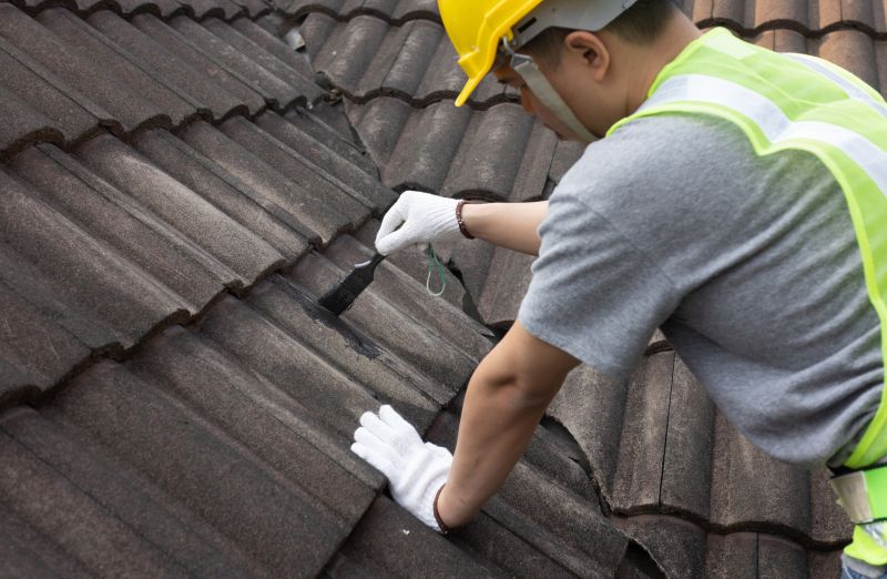 Roof Repair Experts